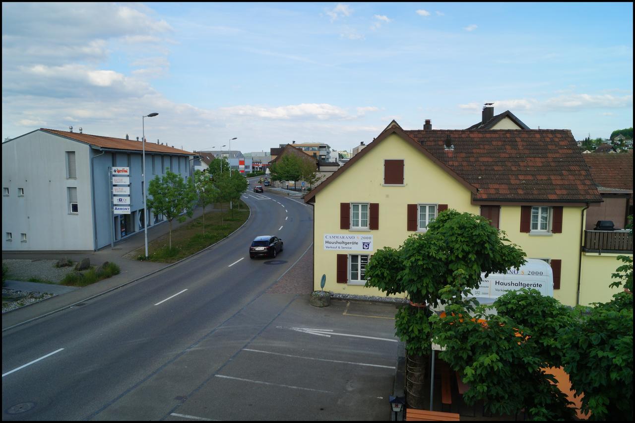 Hotel Gasthof Kastanienbaum Hunzenschwil Exteriér fotografie